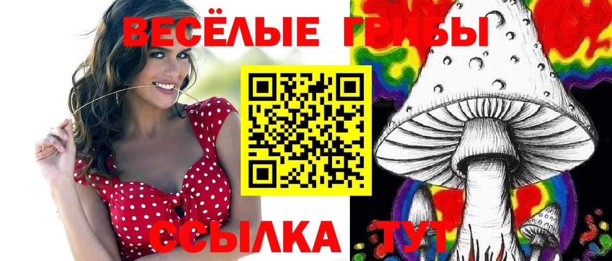 наркошоп  Вход с VPN  Малгобек  Галлюциногенные грибы Magic Shrooms 